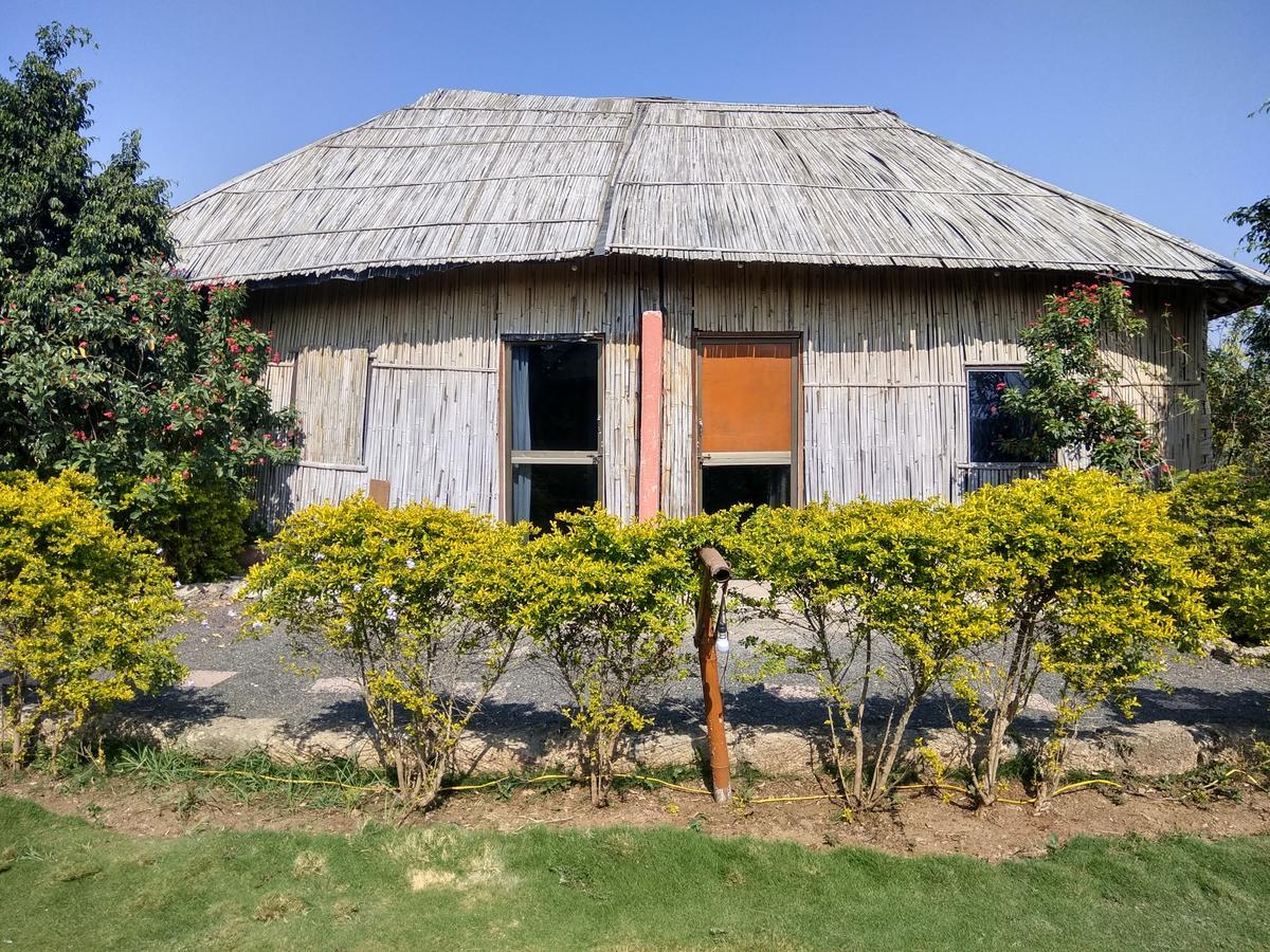 The Hillview Camp Resort ササン・ギル エクステリア 写真